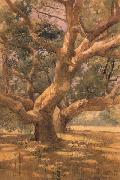 unknow artist Oaks and Shadows china oil painting reproduction